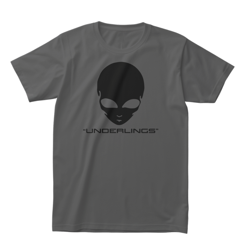 Alien - Underlings - Meclot Lagos Streetwear Graphic Tee - Image 3