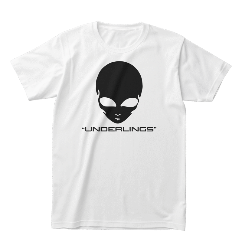 Alien - Underlings - Meclot Lagos Streetwear Graphic Tee - Image 2
